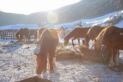 Комбинированный тур на Южном Урале «Горная Башкирия» (осень – зима – весна) рис.2