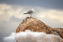 Круиз по Байкалу на теплоходе «Александр Великий» (поселок Листвянка – поселок Листвянка) «Тайны Байкала» (5 дней) рис.5