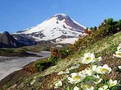Комбинированный тур на Камчатку «Сокровища Камчатки: калейдоскоп впечатлений» с восхождением на вулканы рис.3