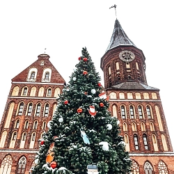 Экскурсионный тур в Калининграде «Новый год в сердце Кёнигсберга» рис.5