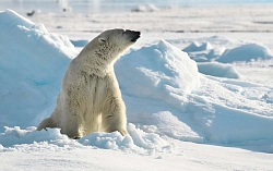 Экспедиционный круиз на Шпицберген «Исследуем Шпицберген» рис.3