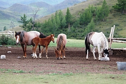 Комбинированный тур в Хакасию, Тыву и Красноярский край «Активное лето в Саянах» рис.3