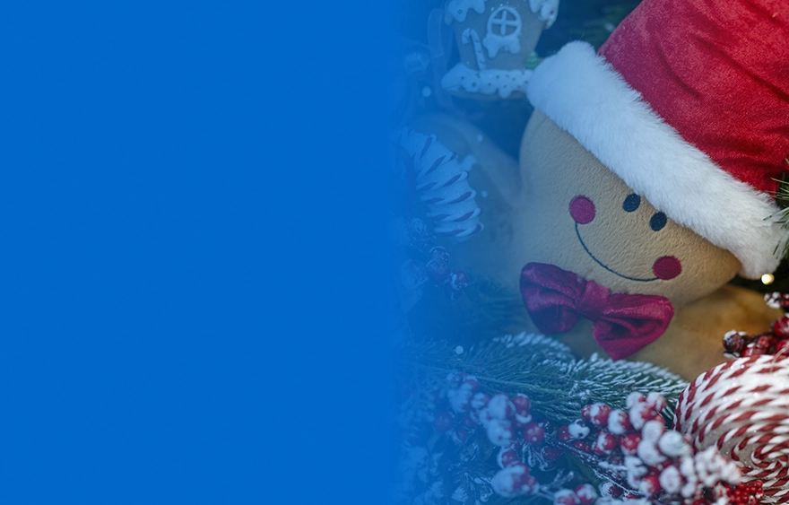 Новогодние каникулы