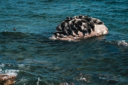 Круиз по Байкалу на теплоходе «Империя» (поселок Листвянка – поселок Листвянка) (8 дней) рис.4