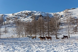  Комбинированный тур в Башкирии «Близкий Урал» рис.5