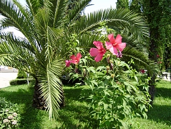 Активный тур «Маленькие секреты Большого Сочи» рис.5