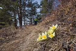 Экскурсионный тур на Байкале «Пробуждение Байкала» рис.5