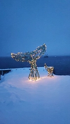 Экскурсионный тур на Кольский полуостров «Рождество в Заполярье» рис.3