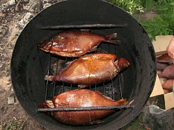 Велотур в Архангельской области «Велостёжка» рис.5