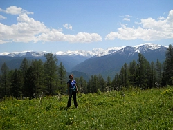 Дары Алтая рис.3