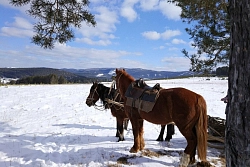 Комбинированный тур в Башкирии «Выходные в горах» (зима) рис.2