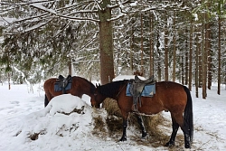 Конный тур в Костромскую область «Январь! Каникулы! Верхом!» рис.2