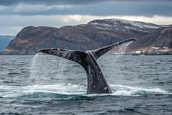 Экскурсионно-активный тур на Кольский полуостров «Весенний код Севера» рис.3