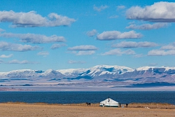 Комбинированный тур на Алтай и в Монголию «Терра Монголия»  рис.5