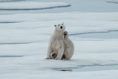 «На ледоколе к вершине планеты» – экспедиционный круиз на Северный полюс рис.1