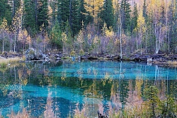 Комбинированный тур на Алтае «Ущелье Актру» рис.5