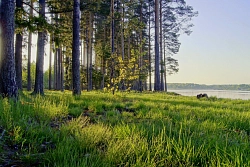 Тур на багги в Тверской области «Озеро Селигер» рис.3