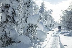 Тур на снегоходах в Свердловской области «По Седому Уралу» рис.4