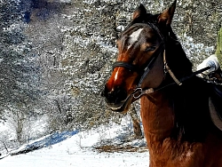 Комбинированный тур на Кавказе «Зимние приключения» рис.2