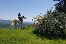Конный тур в Сочи «Верхом по горным дорогам» рис.4