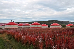 Тур на квадроциклах и багги на Кольском полуострове «Квадро-Арктика» рис.5