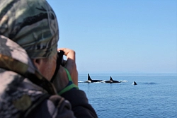 Экспедиционный тур на Шантарские острова «Встреча с китами в бухте Врангеля» рис.3