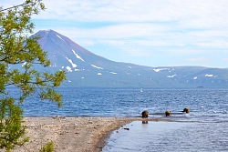 Комбинированный тур на Камчатку «Камчатские каникулы» рис.5