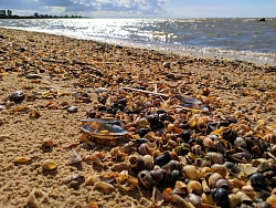 Велотур в Калининграде Bike Camp рис.5