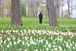Комбинированный тур в Карелии «Великая Ладога» с проживанием в глэмпинге рис.4