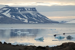 Экспедиционный круиз на Землю Франца–Иосифа и Шпицберген «Дорогами первопроходцев», 14 дней рис.4