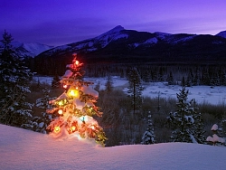 Активный тур в Адыгее «Новогодний отдых в горах Адыгеи» рис.2