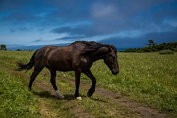 Экскурсионно-активный тур на Курильские острова «Робинзонада. Шикотан – Итуруп» рис.3