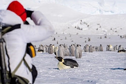 Активный тур в Антарктиду «Полет на Южный полюс и посещение колонии императорских пингвинов» рис.3