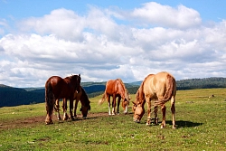 Комбинированный тур на Южном Урале «Башкирия для вас» рис.3