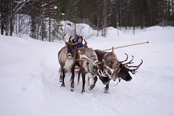 Комбинированный тур на Кольском полуострове «Чудеса Заполярья» рис.2