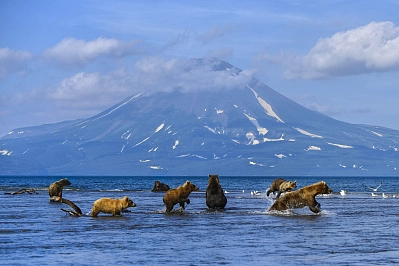 Combined tour to Kamchatka «The Land of Bears and Volcanoes» рис.1