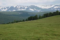 Комбинированный тур на Алтае «По Теректинскому хребту и сплав по Средней Катуни» рис.4
