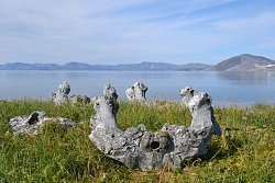 Экспедиционный круиз на Чукотку на остров Врангеля на судне «Академик Шокальский» рис.2