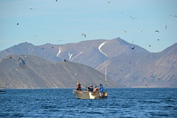 Экспедиция на Чукотку «Киты и моржи национального парка Берингия» рис.5