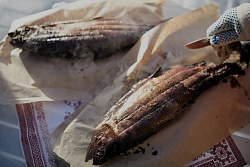 Комбинированный тур в Карелии «Снежные приключения» рис.4