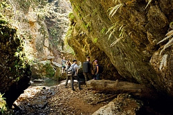 Комбинированный тур «Выходные в Адыгее на 8 марта» рис.5