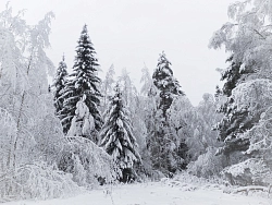 Индивидуальный комбинированный VIP-тур в Карелии «Пролетая над Карелией» (зима) рис.3