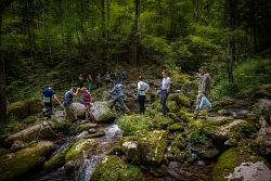 Активный тур в Приморье «Приморская кругосветка» рис.3
