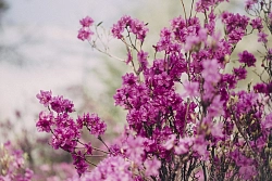 Круиз на Байкале «Весеннее очарование Байкала» рис.5