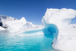 Парусная экспедиция к Антарктическому полуострову на судне Eldorado (с перелетом через пролив Дрейка) рис.4