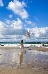 Комбинированный тур в Калининграде «Sail Camp» рис.3