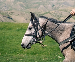 Конный тур на Кавказе «Верхом за приключениями» (зима – весна) рис.2