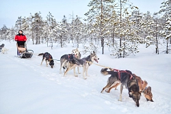 Комбинированный тур в Карелии «Самый новый Новый год» рис.2