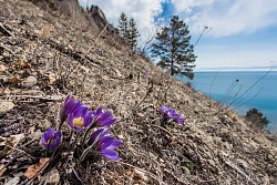 Экскурсионный тур на Байкале «Пробуждение Байкала» рис.2