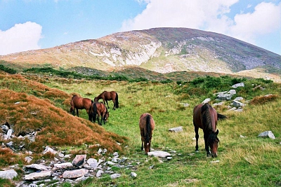 точки старта к горным кластерам в Ставропольском крае во время туристического маршрута